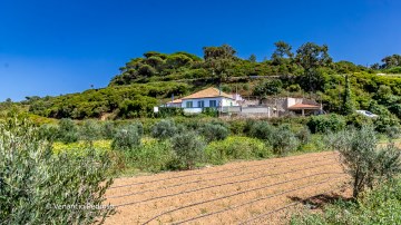 Exterior, Moradia, A Casa Das Casas