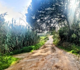 Terrenos en Sesimbra (Castelo)