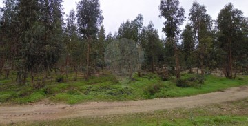 Terreno em Azambuja