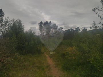 Terre à Carreira e Refojos de Riba de Ave