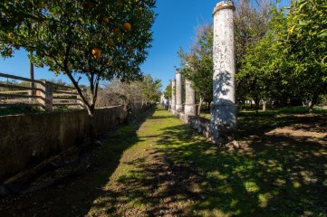 Quintas e casas rústicas 7 Quartos em Caia, São Pedro e Alcáçova
