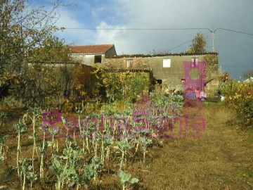 Quintas e casas rústicas em Ceira