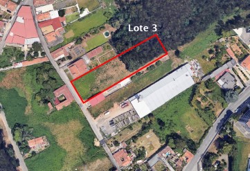 Lote 3