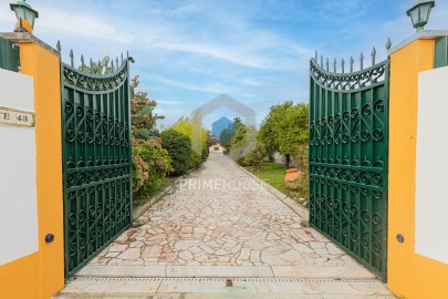 Quinta da Palmeira