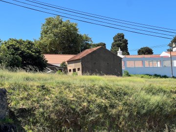 Farm for Sale - Marmelete Centre, Monchique