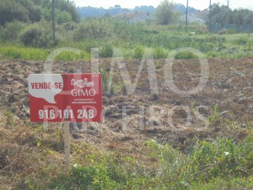 Terreno em Bustos, Troviscal e Mamarrosa