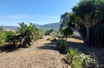Quintal/Jardim