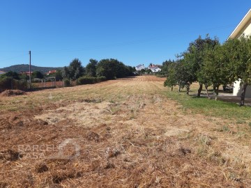 Terreno de construção em Vila de Punhe - Viana do 