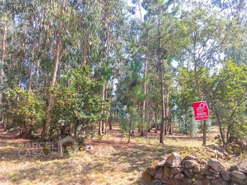 Terreno industrial em Tamel (São Veríssimo) - Barc