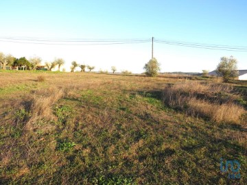 Terreno em Asseiceira