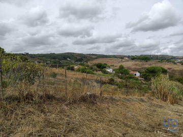 Terre à Carregado e Cadafais