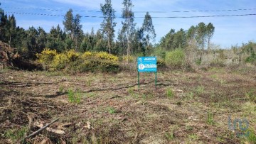 Moradia  em Guia, Ilha e Mata Mourisca