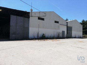 Industrial building / warehouse in Areias e Pias