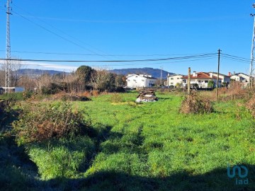 Land in Mire de Tibães