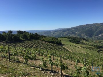 Maisons de campagne  à Mesão Frio (Santo André)