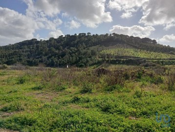 Casa o chalet  en São João da Ribeira e Ribeira de São João