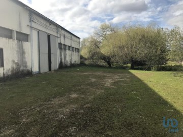 Industrial building / warehouse in Redinha