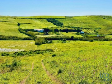 Terreno em Vila do Bispo e Raposeira