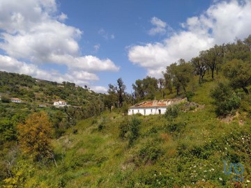 Land in Monchique