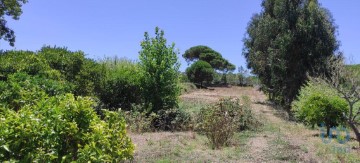 Terreno em Sesimbra (Castelo)