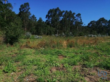 Terreno em São Romão de Neiva