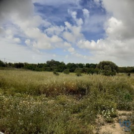 Moradia  em Tavira (Santa Maria e Santiago)