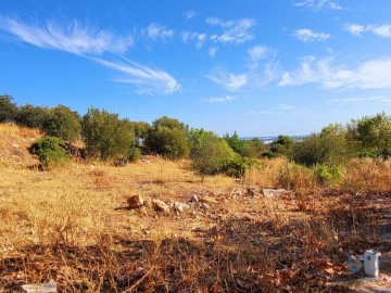 Moradia  em Luz de Tavira e Santo Estêvão