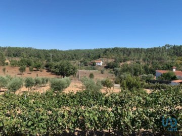 Maisons de campagne 3 Chambres à Constância