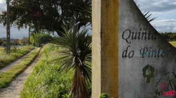 Quinta do Pintor