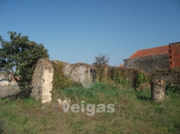 Terreno em Santa Maria, São Pedro e Sobral da Lagoa