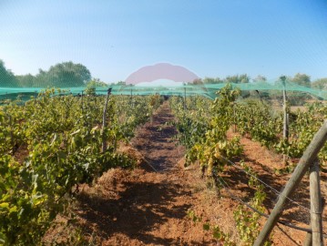 Terreno em Boliqueime