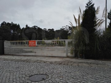 Matosinhos Custóias Portão