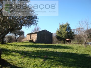 Farm with rural construction