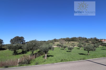 Terreno em Casais e Alviobeira