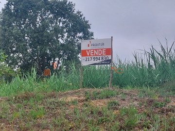 Terreno em Santa Maria, São Pedro e Sobral da Lagoa