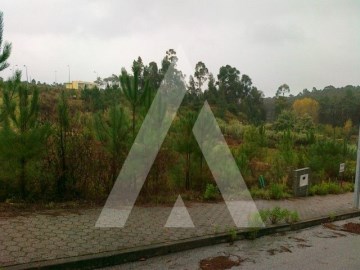 Terreno em Águeda e Borralha