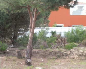 Terreno Urbano, LEIRIA, ÓBIDOS, VAU