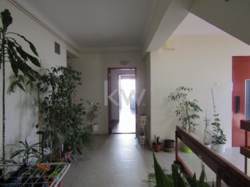 Apartment 2 Bedrooms in Ribeira de Nisa e Carreiras