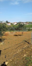 Quinta com oliveiras e barracão