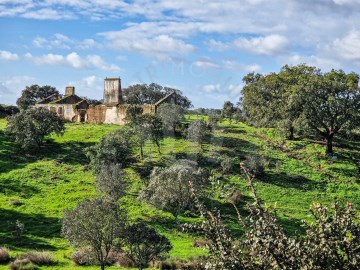 12ha Mosqueirões