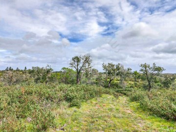 13,5ha Santa Margarida da Serra