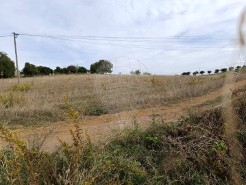 Terreno em Estremoz (Santa Maria e Santo André)