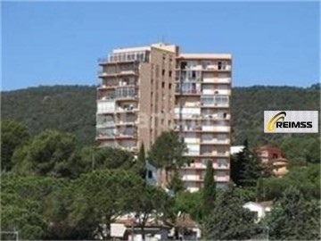 Piso 1 Habitacione en Puig Ses Forques-Torre Colomina
