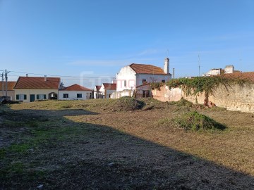 Land in Alcanhões