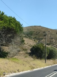 Terreno em Alcabideche