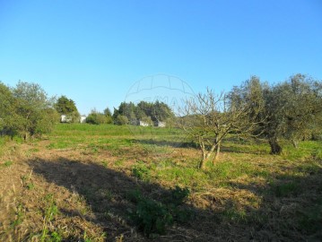 Terreno em Quinta do Anjo