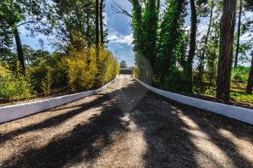 Moradia 4 Quartos em Azeitão (São Lourenço e São Simão)