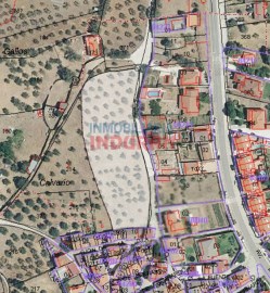 Solar urbano urbanizado de 5909 m2 con olivos situ