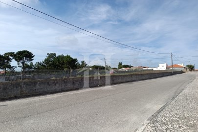Terrain rustique à Vieira de Leiria Marinha Grande