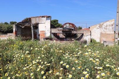 Farm with unrecovered housing